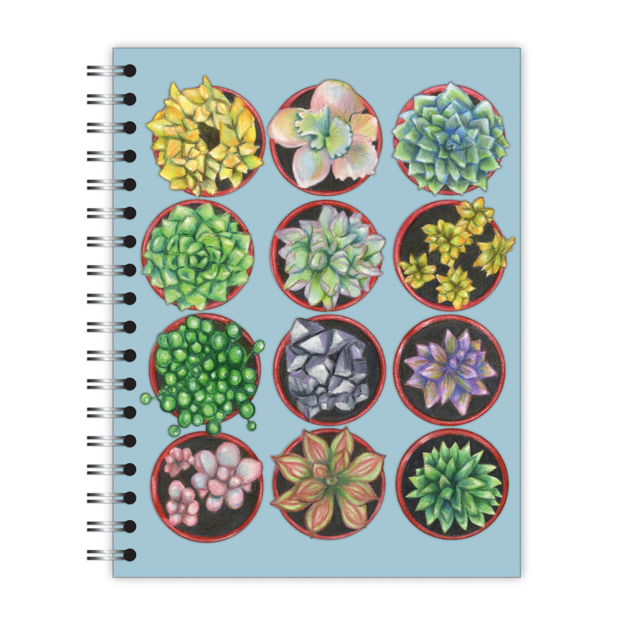 New Leaf Paper® 100% Recycled, Sustainably Designed, Small Wirebound Notebook, Succulents Design