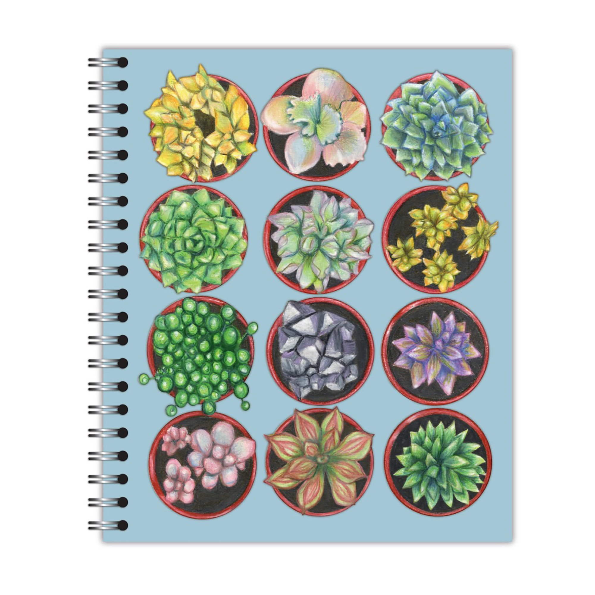 New Leaf Paper® 100% Recycled, Sustainably Designed, Large Wirebound Notebook, Succulents Design
