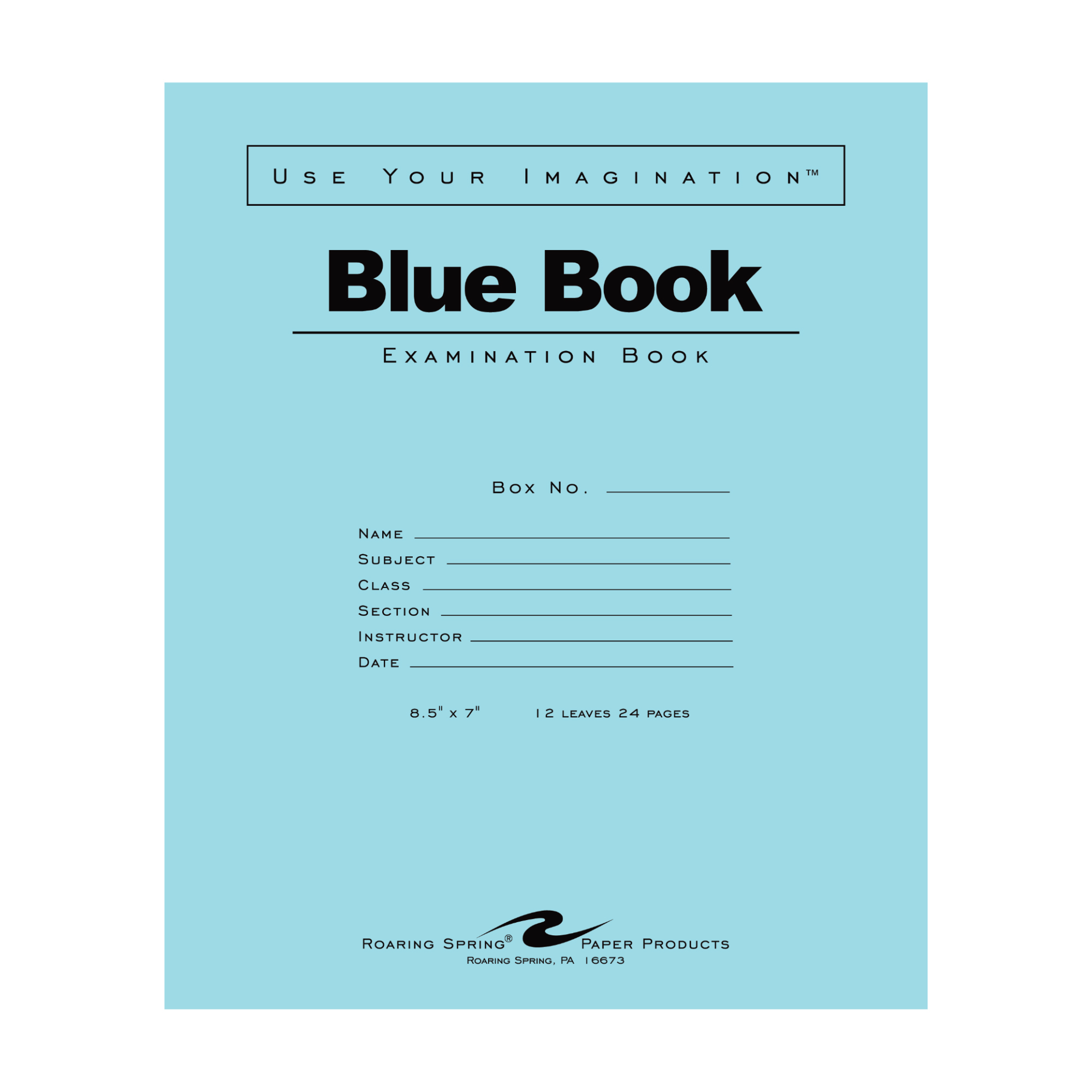 Blue Exam Book, Wide Ruled with Margin, 8.5" x 7", 12 Sheets/24 Pages