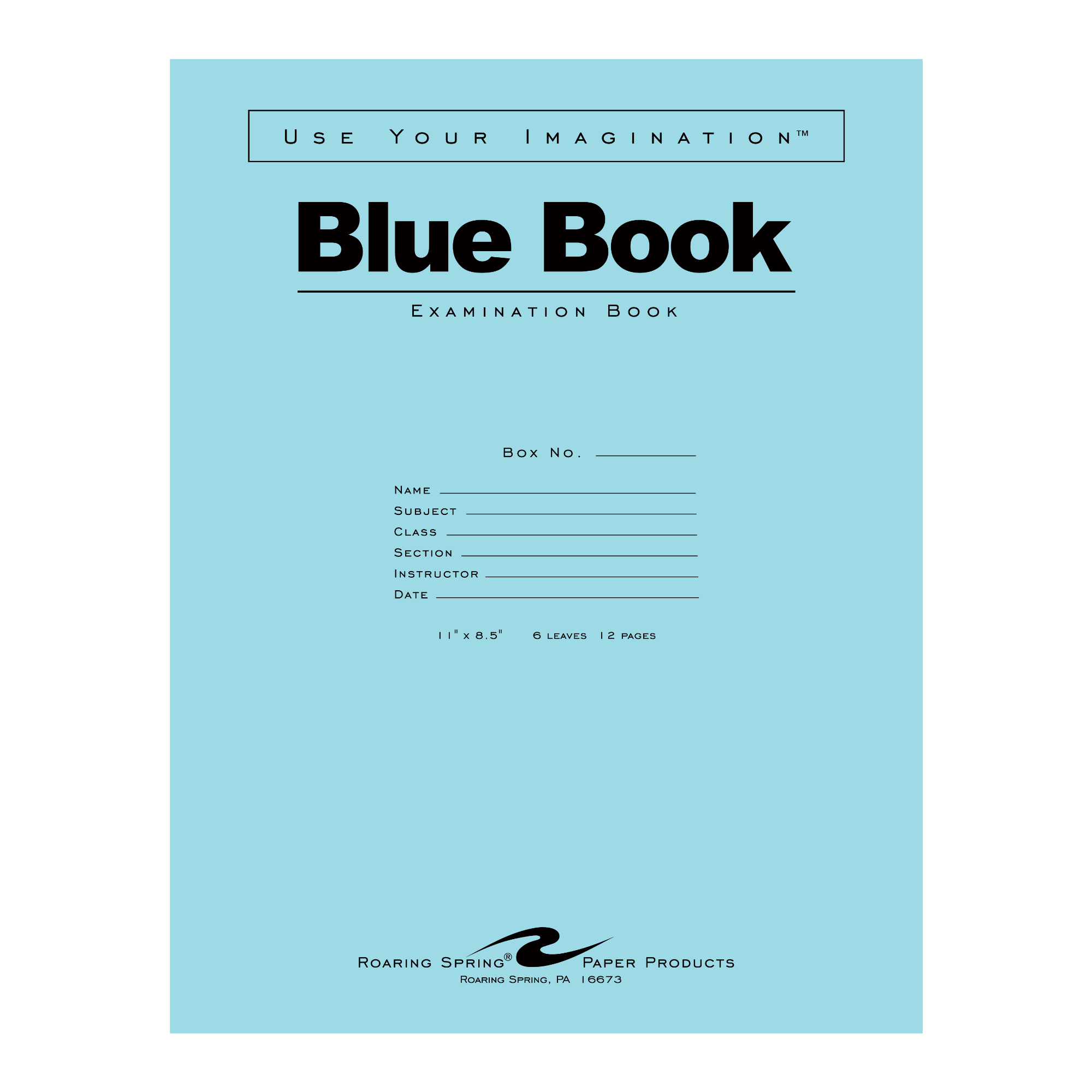 Blue Exam Book, Wide Ruled with Margin, 11" x 8.5", 6 Sheets/12 Pages